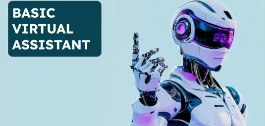 Custom Virtual Assistants